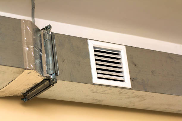 Best Air Duct Cleaning Near Me  in Loughman, FL